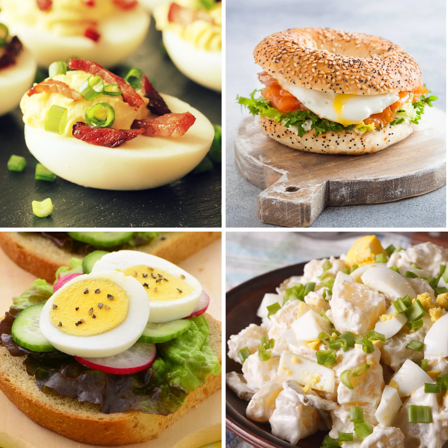 Retro Premium 7-Egg Capacity Electric Egg Cooker, Aqua 2 Retro Premium 7-Egg Capacity Electric Egg Cooker, Aqua - Image 2