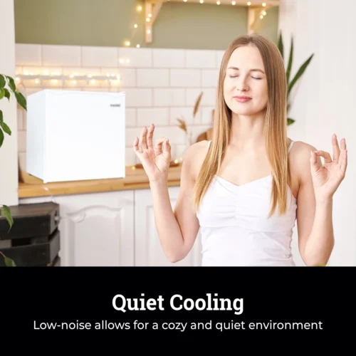 Igloo 1.6 Cu.Ft. Refrigerator With Freezer, White -Nostalgia Food IRF16WH6A feature 06 scaled