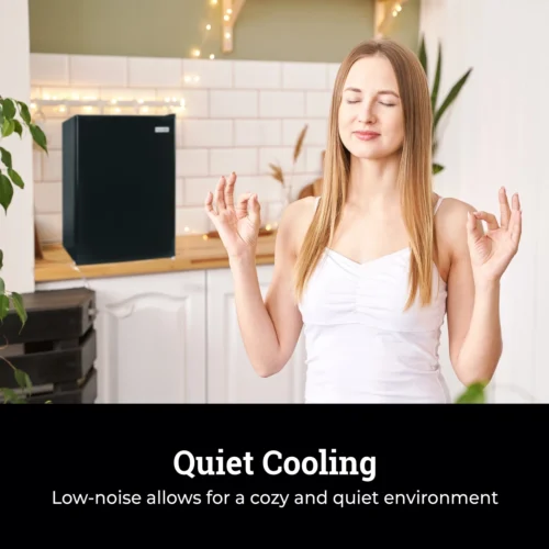 Igloo 2.6 Cu. Ft. Refrigerator W/ Freezer, Black -Nostalgia Food IRF26BK6A feature 06 scaled