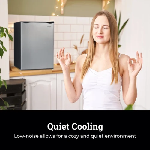 Igloo 2.6 Cu. Ft. Refrigerator W/ Freezer, Platinum -Nostalgia Food IRF26PL6A feature 06 scaled