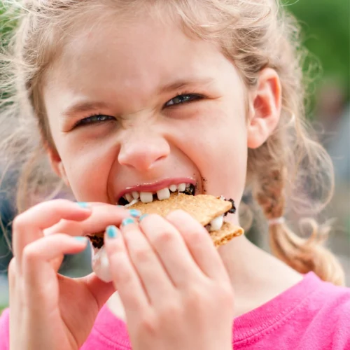 MyMini Electric S'mores Maker -Nostalgia Food NMSM100BR feature 05 scaled